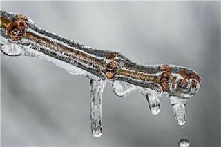 Καιρός - Μαρουσάκης: Έρχεται νέο κύμα ψύχους με τσουχτερό κρύο και χιόνια