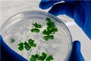 Οι επιστήμονες χτυπούν το «καμπανάκι» – Δύο νέοι ιοί η επόμενη μεγάλη απειλή