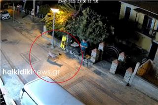 Λύκος στη Νικήτη Χαλκιδικής - Η μαρτυρία κατοίκου για το τι κρατούσε στο στόμα του