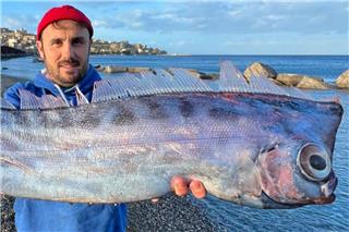 Σπάνιο ψάρι ξεβράστηκε σε παραλία της Σικελίας, δείτε φωτογραφίες