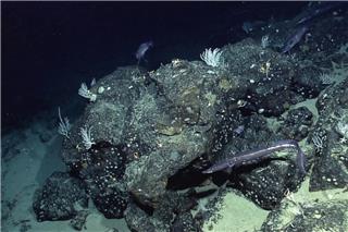 Η NASA χαρτογράφησε τον βυθό της Γης από το διάστημα και ανακάλυψε άγνωστα στοιχεία που αλλάζουν τα δεδομένα