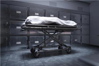 Ο τιμοκατάλογος της φρίκης: Πώς ανθρώπινα μέλη πωλούνται νόμιμα για χιλιάδες ευρώ στις Ηνωμένες Πολιτείες