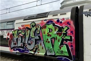 Hellenic Train: Έπεσε δέντρο στο τμήμα Σίνδος - Θεσσαλονίκη - Διακόπηκε η κυκλοφορία