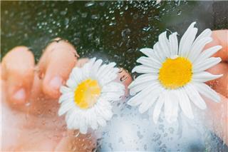 Καιρός: Μπαίνει για τα καλά η άνοιξη – Πότε θα δούμε ηλιοφάνεια και πότε βροχές