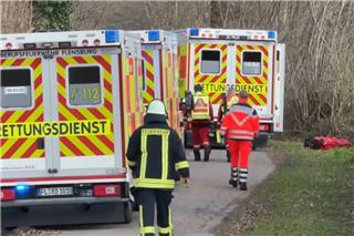 Ένα κυνήγι πασχαλινών αυγών με τραγικό τέλος: Δέντρο καταπλάκωσε μητέρες και παιδιά που συμμετείχαν στο έθιμο – Τρεις νεκροί