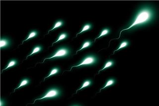 Τι δείχνει έρευνα του πανεπιστημίου της Οξφόρδης για τη συχνή εκσπερμάτιση