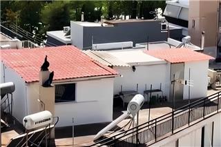 Δεν πήγαιναν ούτε σχολείο τα παιδιά που ζούσαν μέσα σε ακαθαρσίες σε σπίτι στο Περιστέρι, τι λέει η γιαγιά τους