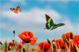 Τα ζώδια σήμερα 24/2: Σήμερα χρειάζεσαι ηρεμία