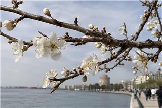 Καιρός: Επιστρέφει η άνοιξη – Έως 21 βαθμούς η θερμοκρασία