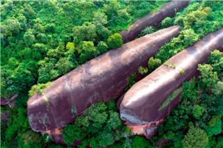 Πώς σχηματίστηκαν οι τρεις εντυπωσιακές «φάλαινες» της Ταϊλάνδης που μοιάζουν να... κολυμπούν μέσα στο δάσος