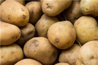 Τι είναι το «κύμα πατάτας» στο Βερολίνο που προκάλεσε αναταραχές