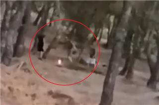 Ανήλικοι έβαζαν φωτιά σε δάσος στα Βριλήσσια – Το επικίνδυνο challenge που σόκαρε