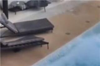 Βενεζουέλα: Συγκλονιστικό βίντεο από το χτύπημα των 7,5 Ρίχτερ στην Λα Γκουάιρα - Αδειασε πισίνα
