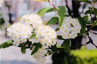 Τα ζώδια σήμερα 7/3: Η ευελιξία θα σε βοηθήσει