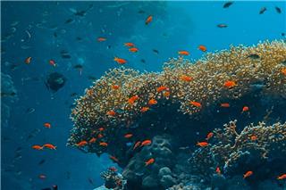 Η «βυθισμένη πολιτεία» που κρύβει σπίτια, δρόμους και μια ολόκληρη γέφυρα