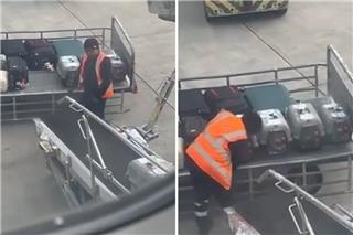 Viral στο αεροδρόμιο «Ελευθέριος Βενιζέλος»: Εργαζόμενος χαϊδεύει διασωθέντα ζώα που έφτασαν με πτήση