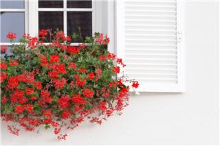 Τα ζώδια σήμερα 5/4: Η επικοινωνία σήμερα λύνει κόμπους