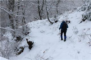 Καιρός: Παγωμένο τριήμερο με χιόνια, ισχυρούς ανέμους και πολικές θερμοκρασίες