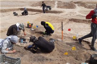 Ανακαλύφθηκε η χαμένη Αλεξάνδρεια του Τίγρη που ίδρυσε ο Μέγας Αλέξανδρος στο Ιράκ