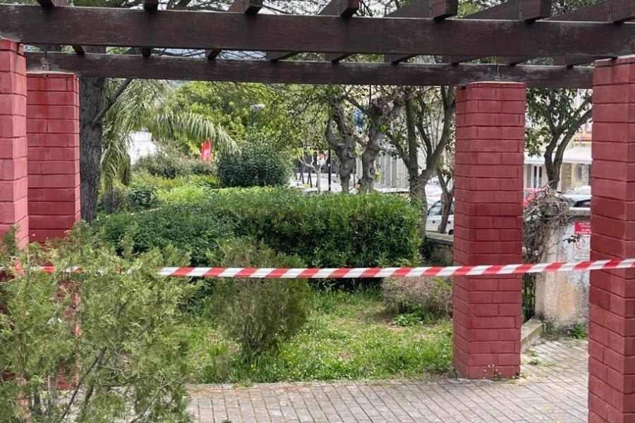 Κεφαλονιά: Γιατί δεν μετέφεραν την Μυρτώ στο νοσοκομείο οι 3 κατηγορούμενοι ‑ «Περιμέναμε να την χτυπήσει ο αέρας να συνέλθει...»