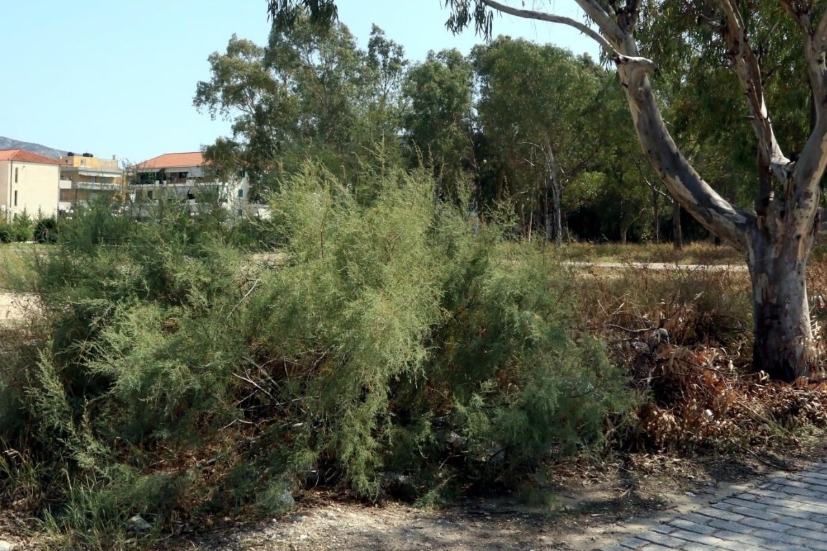 Έρχονται αλλαγές για τα ακαθάριστα οικόπεδα ‑ Τι θα ισχύει με νέα ρύθμιση