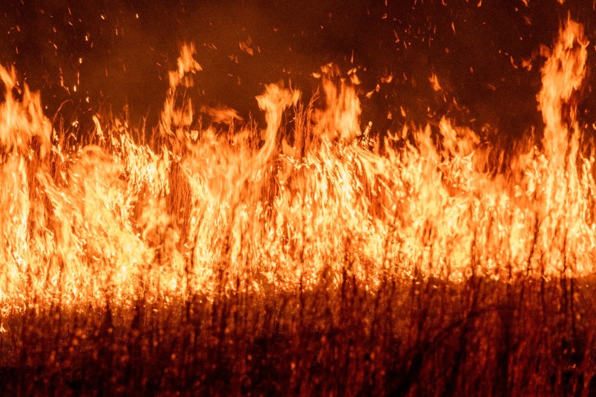 Παραμένει πολύ υψηλός κίνδυνος φωτιάς την Παρασκευή – Οι περιοχές που είναι στο «πορτοκαλί»