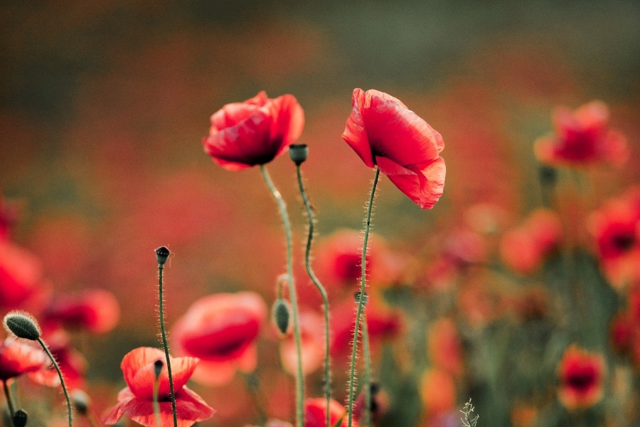 Μερομήνια 2026: Έρχεται Μάρτης «γδάρτης» – Πότε θα δούμε τα πρώτα χιόνια