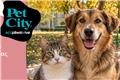 Pet City: 9 αδέσποτα βρήκαν σπίτι στις Ημέρες Υιοθεσίας σε Αθήνα, Θεσσαλονίκη και Πάτρα