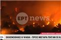 Φωτιά Αττικοβοιωτία: Οι φλόγες κατεβαίνουν στον κάμπο Μεγάρων ‑ Πάνω από 66.000 καμένα στρέμματα