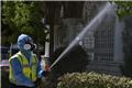 Ιός του Δυτικού Νείλου: Έρχονται τα πρώτα rapid test για τη νόσο