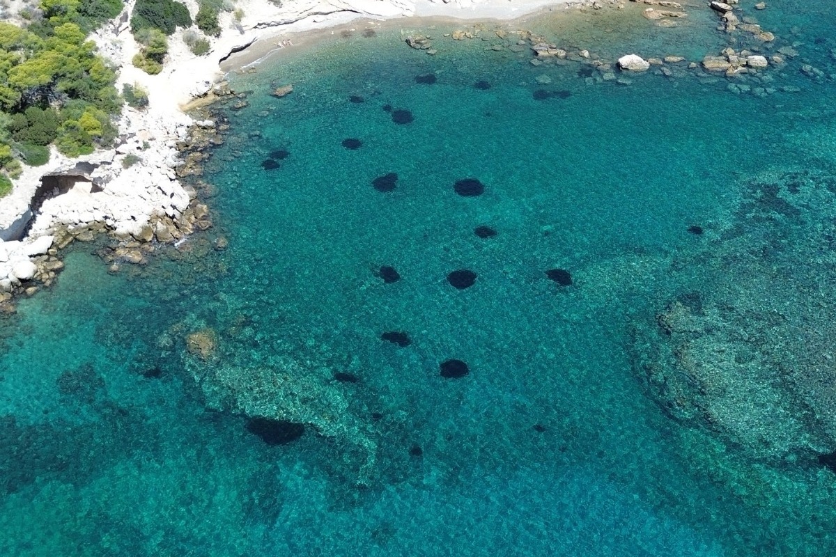Ελάχιστοι το ξέρουν: Το εξωτικό νησί 1,5 ώρα από την Αθήνα όπου κάνεις μπάνιο παρέα με ελάφια και παγώνια