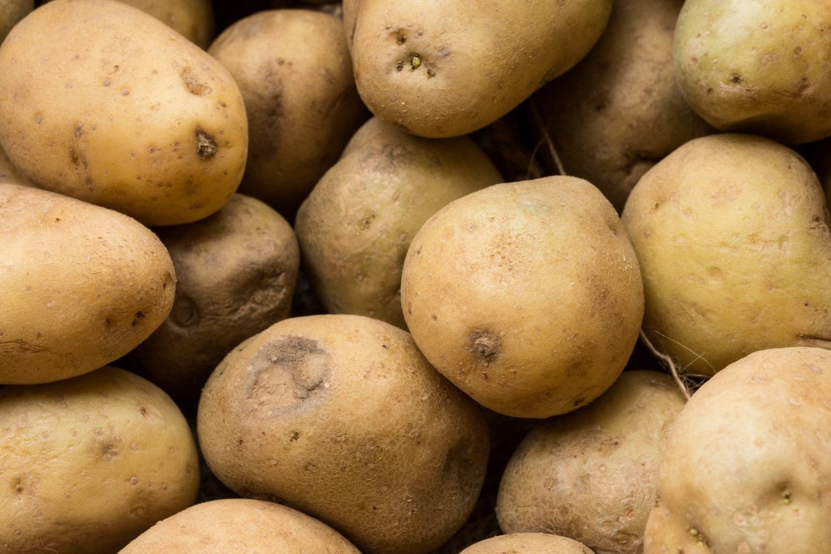 Τι είναι το «κύμα πατάτας» στο Βερολίνο που προκάλεσε αναταραχές