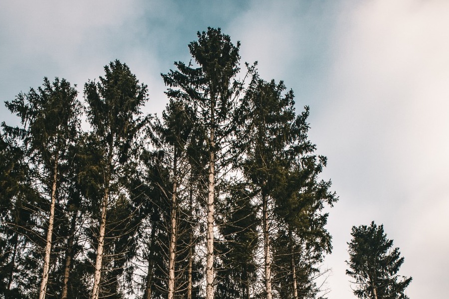Τα ζώδια σήμερα 19/1: Η συνέπεια είναι η δύναμή σου
