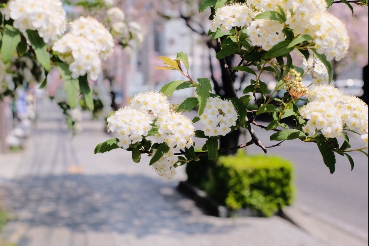 Τα ζώδια σήμερα 23/4: Μην μένεις σε κάτι που δεν σε καλύπτει