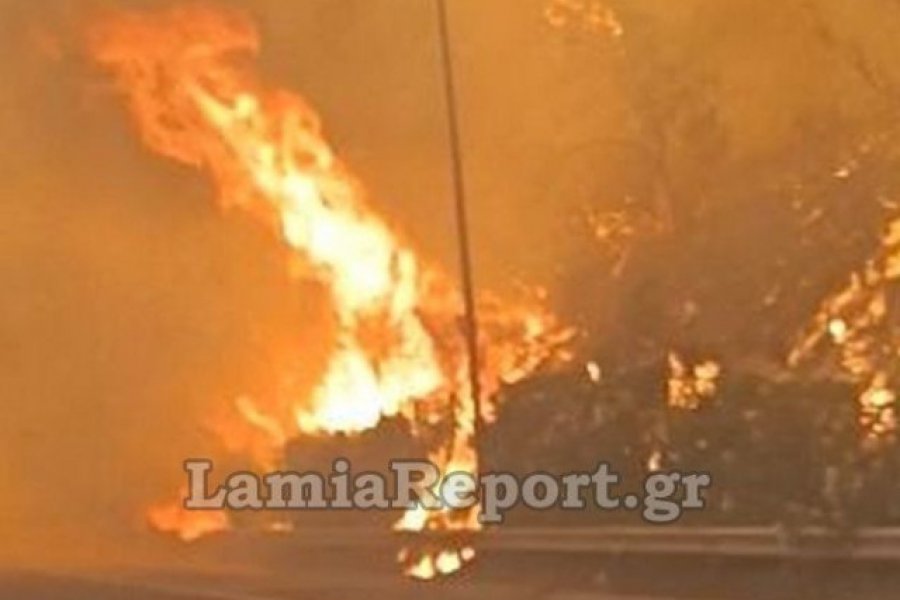 Βίντεο από τη φωτιά στο Ακραίφνιο: Οχήματα περνούν δίπλα από τις φλόγες στην εθνική οδό
