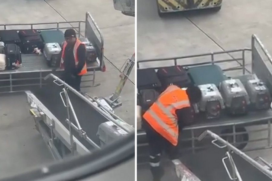 Viral στο αεροδρόμιο «Ελευθέριος Βενιζέλος»: Εργαζόμενος χαϊδεύει διασωθέντα ζώα που έφτασαν με πτήση