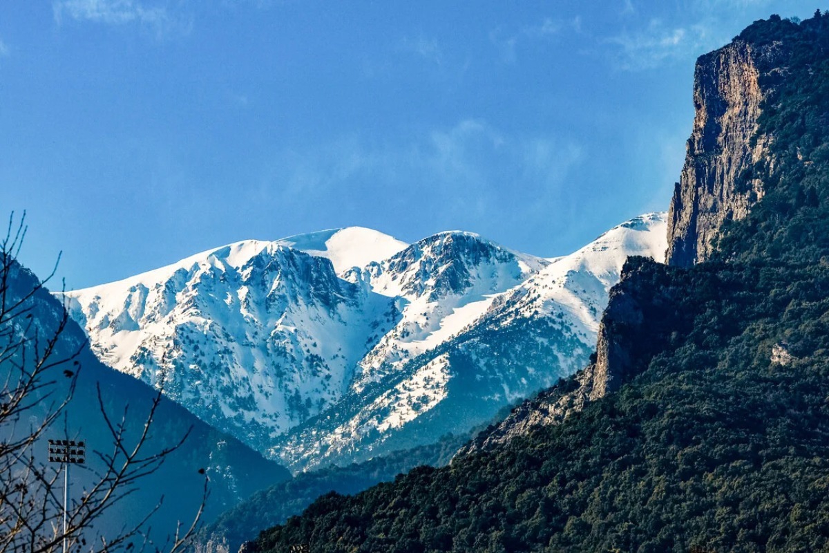 Πανεπιστήμιο του Cambridge: Μελέτη αποκαλύπτει μια μεγάλη αλλαγή στα ελληνικά βουνά τα τελευταία 40 χρόνια