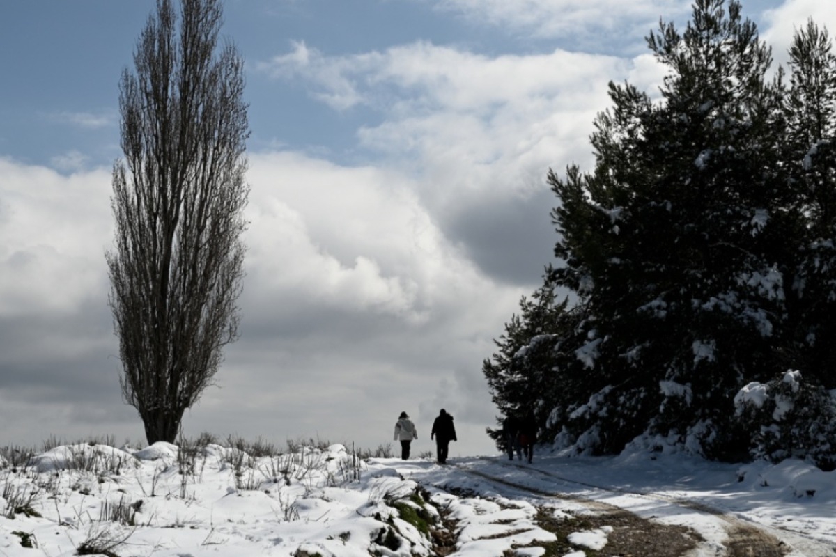 Τριήμερο ψυχρής εισβολής στη χώρα με βουτιά της θερμοκρασίας, σε ποιες περιοχές θα χιονίσει
