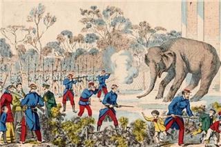 Τα Χριστούγεννα όπου οι Παριζιάνοι έφαγαν... τα ζώα του Ζωολογικού Κήπου