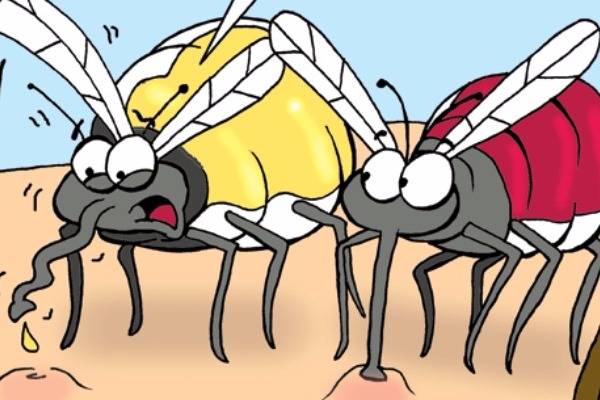 Ποιους προτιμούν τα κουνούπια;