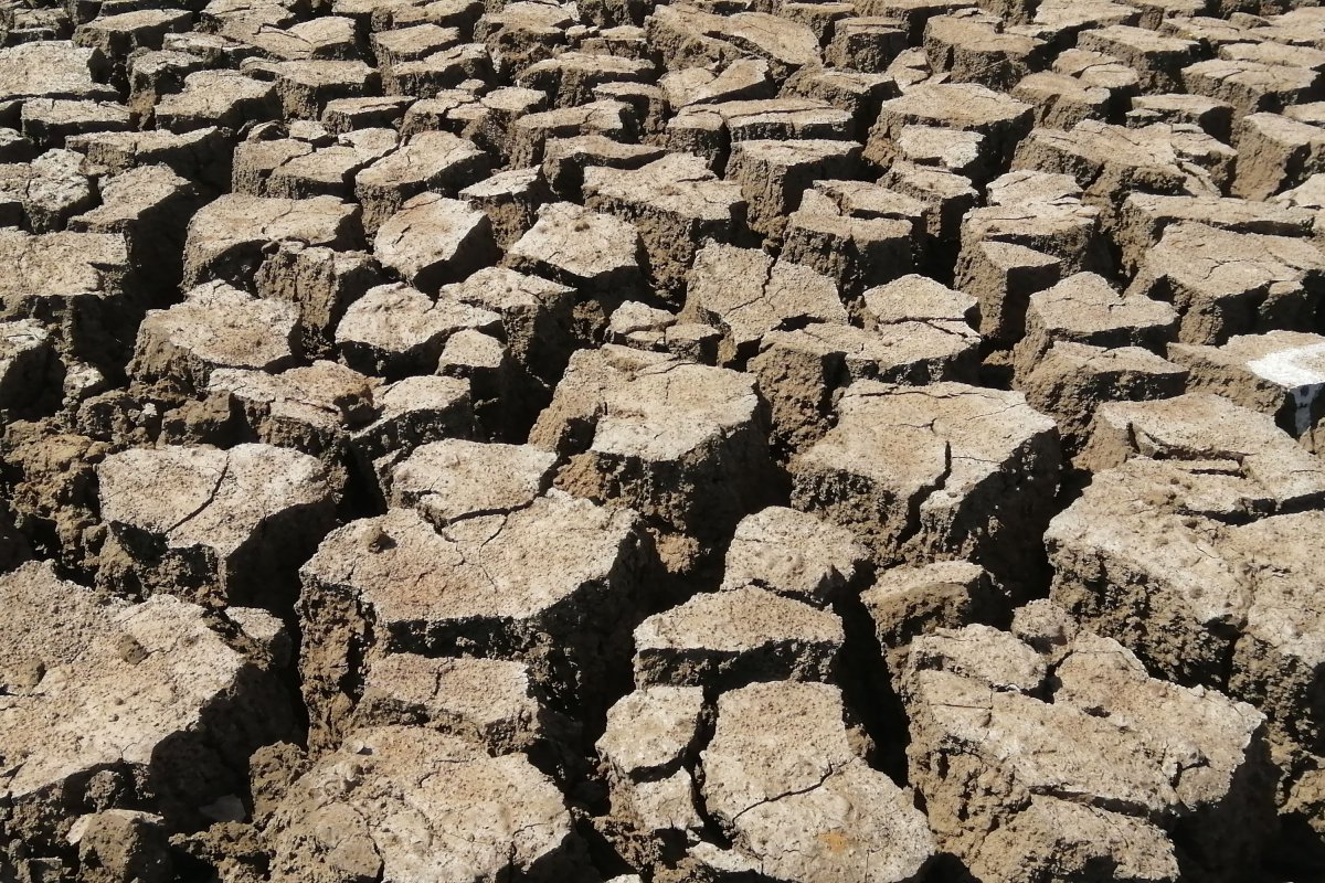Τρομακτική πρόβλεψη: Θα πεθάνουν 450.000 άνθρωποι το επόμενο εξάμηνο λόγω El Niño