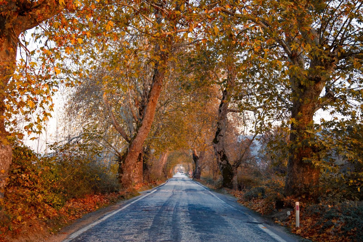 Ψοφάς για πεζοπορίες σε φθινοπωρινά τοπία; 8 μαγικά μέρη στην Ελλάδα που θα σε κάνουν να ερωτευτείς την εποχή