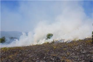Η πυρκαγιά στην Οινόη δημιούργησε «τον δικό της καιρό» - Τι σημαίνει η παροδική πυροεπαγωγική συμπεριφορά