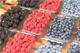 Κατεψυγμένα μούρα στο smoothie: Ο νοροϊός μπορεί να αντέξει την κατάψυξη ‑ Τι κάνετε πρώτα