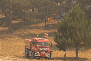 Θεσσαλονίκη: Απαγόρευση κυκλοφορίας σε δασικές εκτάσεις λόγω υψηλού κινδύνου πυρκαγιάς
