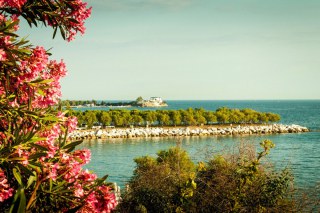 Οι «επικίνδυνες» παραλίες της Αττικής - Πού και πώς μπορείτε να κολλήσετε E. coli