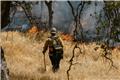 Ψάθα: Συνελήφθη αδελφός αντιδημάρχου που παραβίασε τον αποκλεισμό στα συντρίμμια του ελικοπτέρου