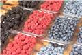 Κατεψυγμένα μούρα στο smoothie: Ο νοροϊός μπορεί να αντέξει την κατάψυξη ‑ Τι κάνετε πρώτα