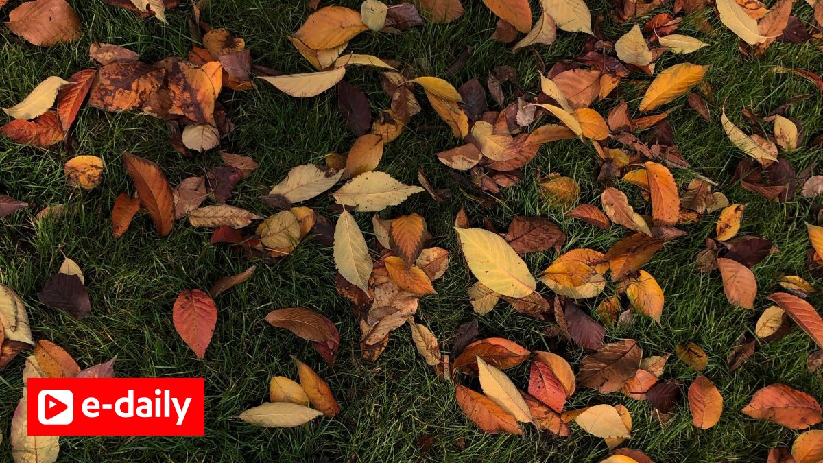 Τα ζώδια σήμερα 9/10: Mια ζεστή κίνηση μπορεί να φέρει ανταπόκριση