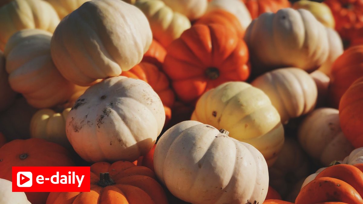 Τα ζώδια σήμερα 18/10: Σήμερα έχετε καλή διάθεση